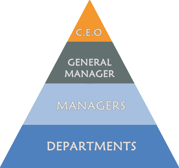 ORGANIZATIONAL STRUCTURE